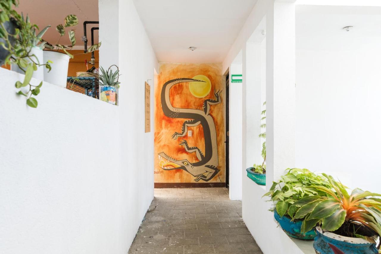 Residencia Artistica Hostel Puerto Escondido  Exterior photo